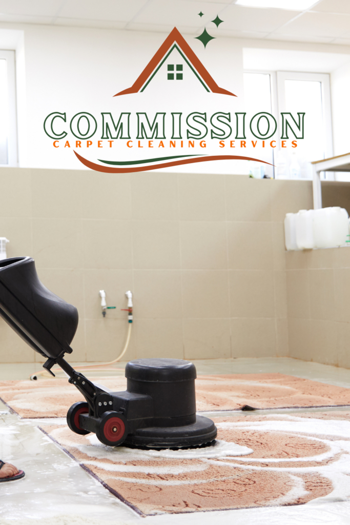 How Often Should You Have Your Carpets Cleaned in Dallas, GA?