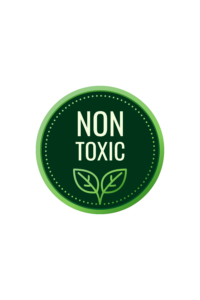 non tosi carpet cleanign service